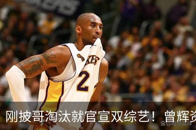 刚披哥淘汰就官宣双综艺！曾辉资源太猛
