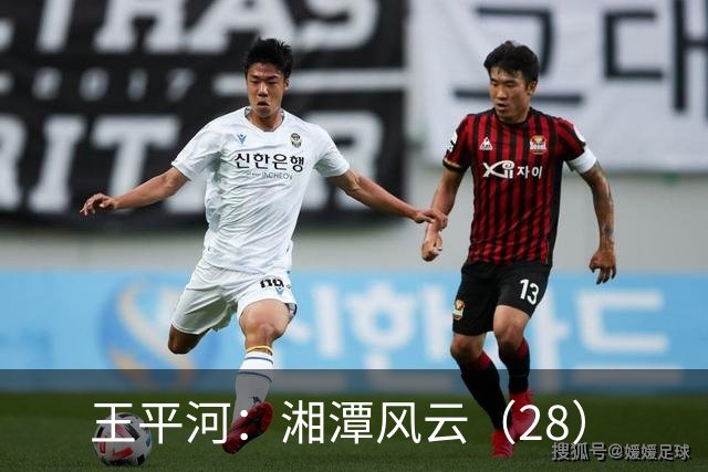 王平河：湘潭风云（2/8）