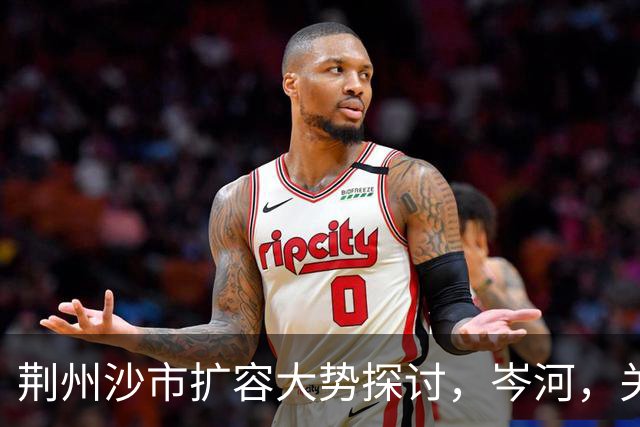 荆州沙市扩容大势探讨,岑河,关沮,立新外围,三地潜力分析
